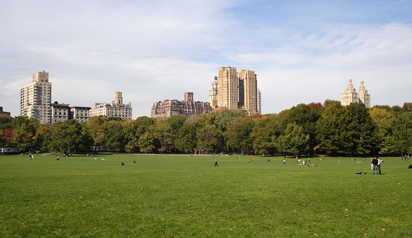 View to Central Park